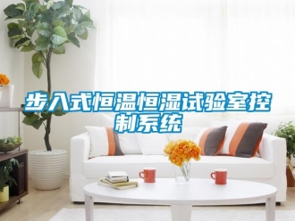 知識(shí)百科步入式恒溫恒濕試驗(yàn)室控制系統(tǒng)