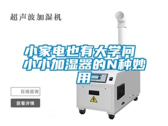 知識百科小家電也有大學問 小小加濕器的N種妙用