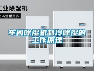 企業(yè)新聞車間除濕機制冷除濕的工作原理