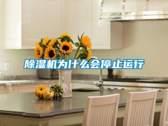 企業(yè)新聞除濕機(jī)為什么會停止運(yùn)行