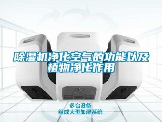 行業(yè)新聞除濕機凈化空氣的功能以及植物凈化作用