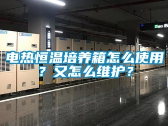知識百科電熱恒溫培養箱怎么使用？又怎么維護？