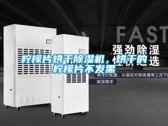 行業新聞檸檬片烘干除濕機，烘干的檸檬片不發黑