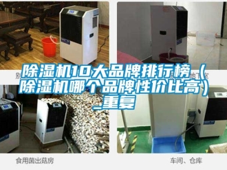 企業新聞除濕機10大品牌排行榜（除濕機哪個品牌性價比高）_重復