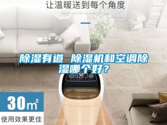 行業(yè)新聞除濕有道 除濕機(jī)和空調(diào)除濕哪個(gè)好？