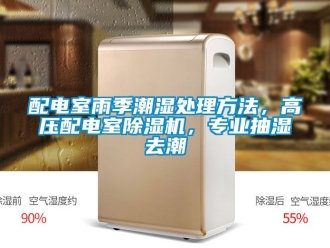 行業(yè)新聞配電室雨季潮濕處理方法，高壓配電室除濕機(jī)，專業(yè)抽濕去潮