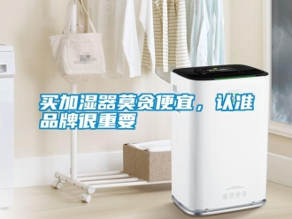 行業(yè)新聞買加濕器莫貪便宜，認(rèn)準(zhǔn)品牌很重要