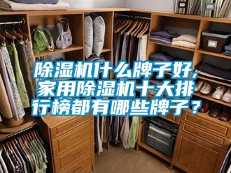 常見問題除濕機什么牌子好,家用除濕機十大排行榜都有哪些牌子？
