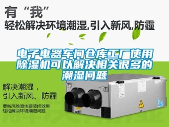 常見問題電子電器車間倉庫工廠使用除濕機可以解決相關很多的潮濕問題
