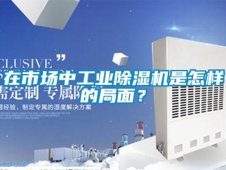 常見問題在市場中工業除濕機是怎樣的局面？