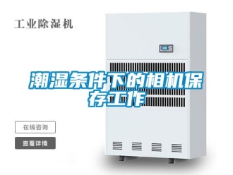 企業(yè)新聞潮濕條件下的相機保存工作