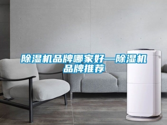 企業新聞除濕機品牌哪家好—除濕機品牌推薦