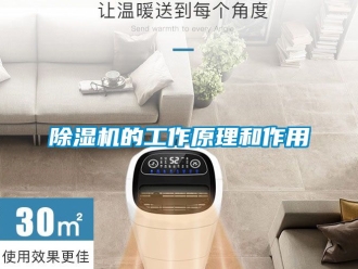 企業新聞除濕機的工作原理和作用