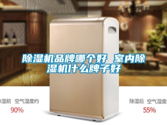企業新聞除濕機品牌哪個好 室內除濕機什么牌子好