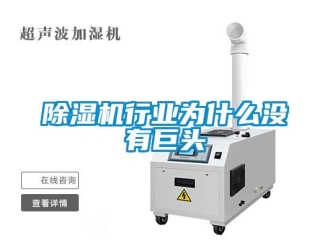 企業(yè)新聞除濕機(jī)行業(yè)為什么沒(méi)有巨頭