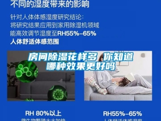常見(jiàn)問(wèn)題房間除濕花樣多 你知道哪種效果更好嗎