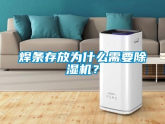行業新聞焊條存放為什么需要除濕機？