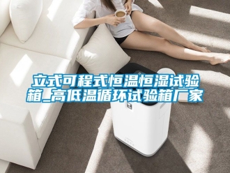 知識百科立式可程式恒溫恒濕試驗箱_高低溫循環試驗箱廠家