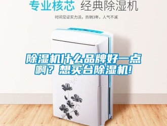 企業新聞除濕機什么品牌好一點??？想買臺除濕機!