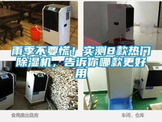 行業新聞雨季不要慌！實測8款熱門除濕機，告訴你哪款更好用
