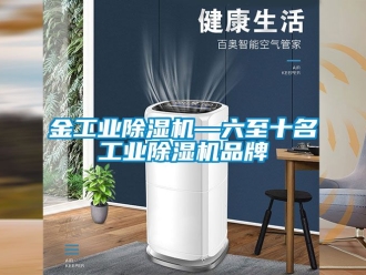 常見問題金工業(yè)除濕機—六至十名工業(yè)除濕機品牌