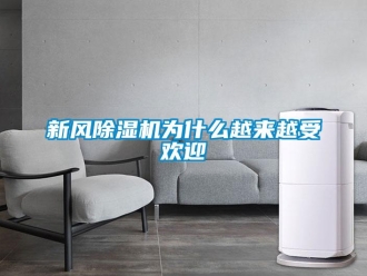 知識百科新風除濕機為什么越來越受歡迎