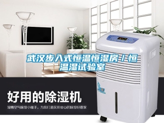 知識百科武漢步入式恒溫恒濕房／恒溫濕試驗室