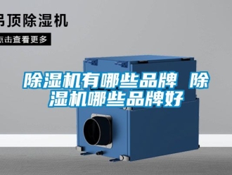 企業新聞除濕機有哪些品牌 除濕機哪些品牌好