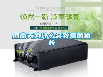 行業新聞回南天為什么會致霉菌瘋長