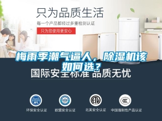 常見問題梅雨季潮氣逼人，除濕機該如何選？