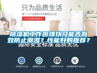 行業新聞除濕機工作原理以及能否有效防止潮濕？性能好的推薦？