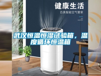 知識百科武漢恒溫恒濕試驗箱，溫度循環恒溫箱
