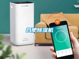 行業新聞合肥除濕機