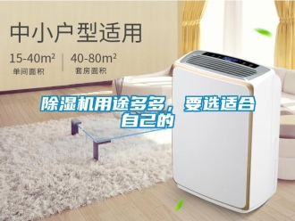 企業(yè)新聞除濕機用途多多，要選適合自己的