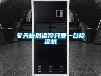 企業(yè)新聞冬天告別濕冷只要一臺(tái)除濕機(jī)