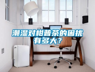 企業新聞潮濕對柑普茶的困擾有多大？