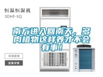 行業新聞南方進入回南天，多肉植物這樣養才不會有事！