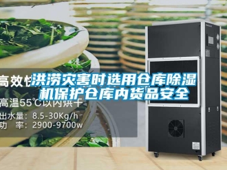 行業新聞洪澇災害時選用倉庫除濕機保護倉庫內貨品安全