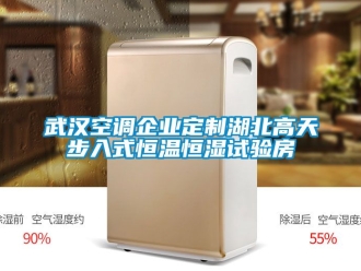 知識百科武漢空調企業定制湖北高天步入式恒溫恒濕試驗房