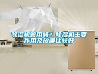 行業新聞除濕機管用嗎？除濕機主要作用及放哪比較好