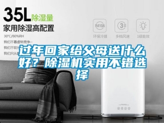 行業新聞過年回家給父母送什么好？除濕機實用不錯選擇