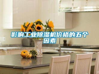 知識百科影響工業除濕機價格的五個因素