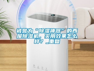 企業新聞被譽為“除濕神器”的西屋除濕機，實用效果怎么樣？_重復