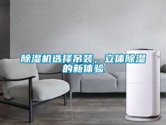 行業(yè)新聞除濕機(jī)選擇吊裝，立體除濕的新體驗(yàn)