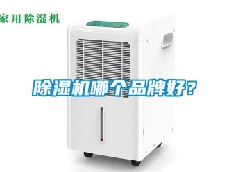 企業(yè)新聞除濕機哪個品牌好？