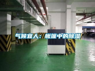 行業新聞氣候宜人：帳篷中的除濕