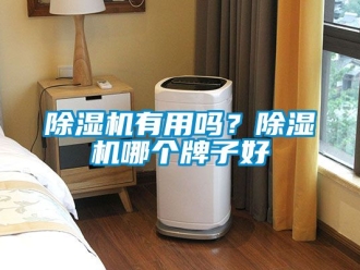 行業新聞除濕機有用嗎？除濕機哪個牌子好