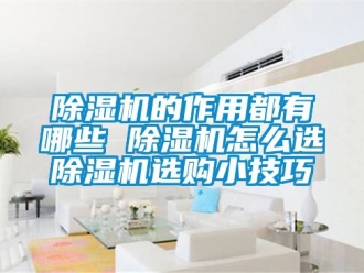 企業新聞除濕機的作用都有哪些 除濕機怎么選除濕機選購小技巧