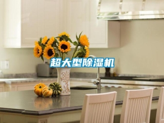 企業(yè)新聞超大型除濕機(jī)