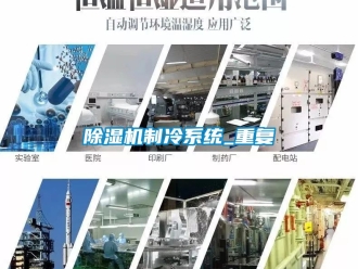 行業(yè)新聞除濕機制冷系統(tǒng)_重復